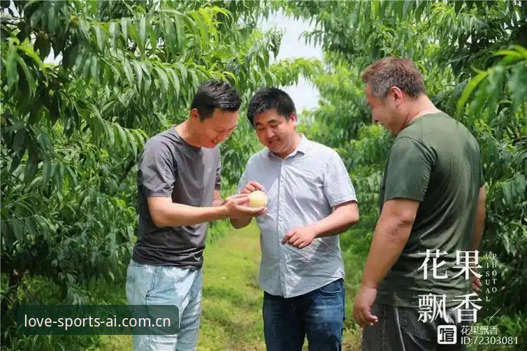 资深用户王强分享：爱体育app安全吗必备使用心得与实战经验